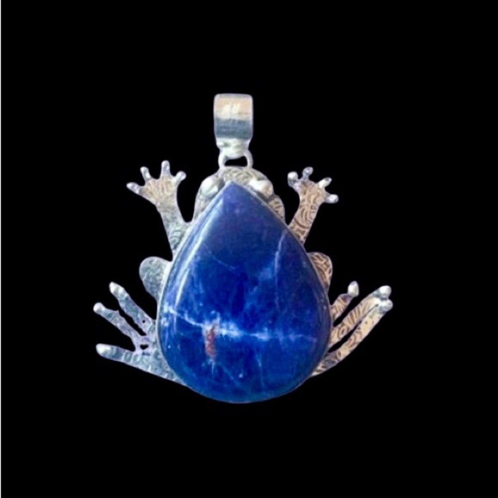 NWOT Frog Pendant with Blue Sodalite Stone
